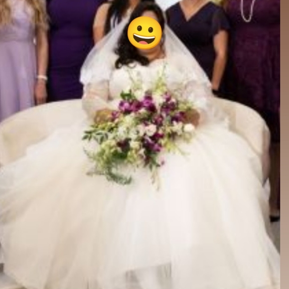 Ivory Plus Size Wedding Gown David's Bridal Size 22W - Picture 2 of 10